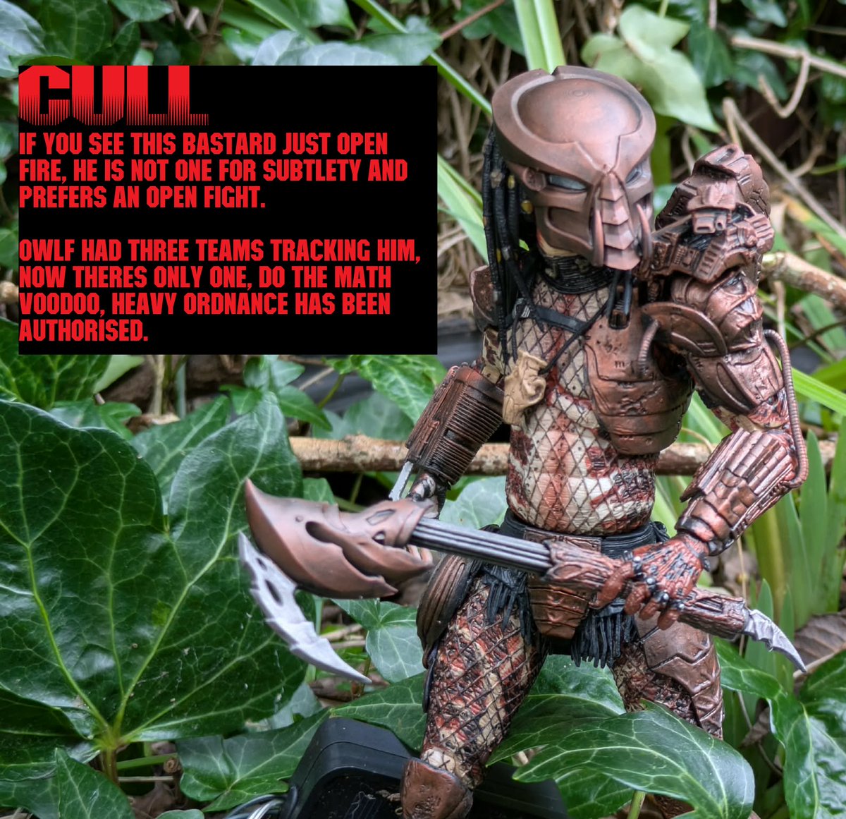 Dane Mercer tweet media