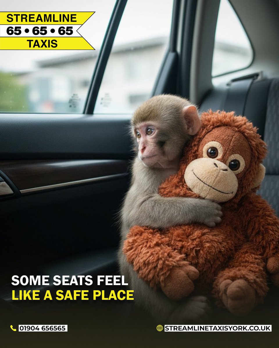 Streamline Taxis York tweet media