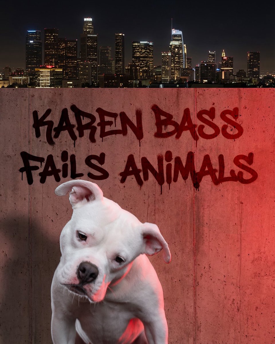 All who condone, ignore and support animal cruetly need to be held accountable. The horrors happening to animals in Los Angeles has gone on long enough. 

Join us in our fight to save lives and hold all those responsible for the suffering &amp; slaughtering innocent animals. 

Donate