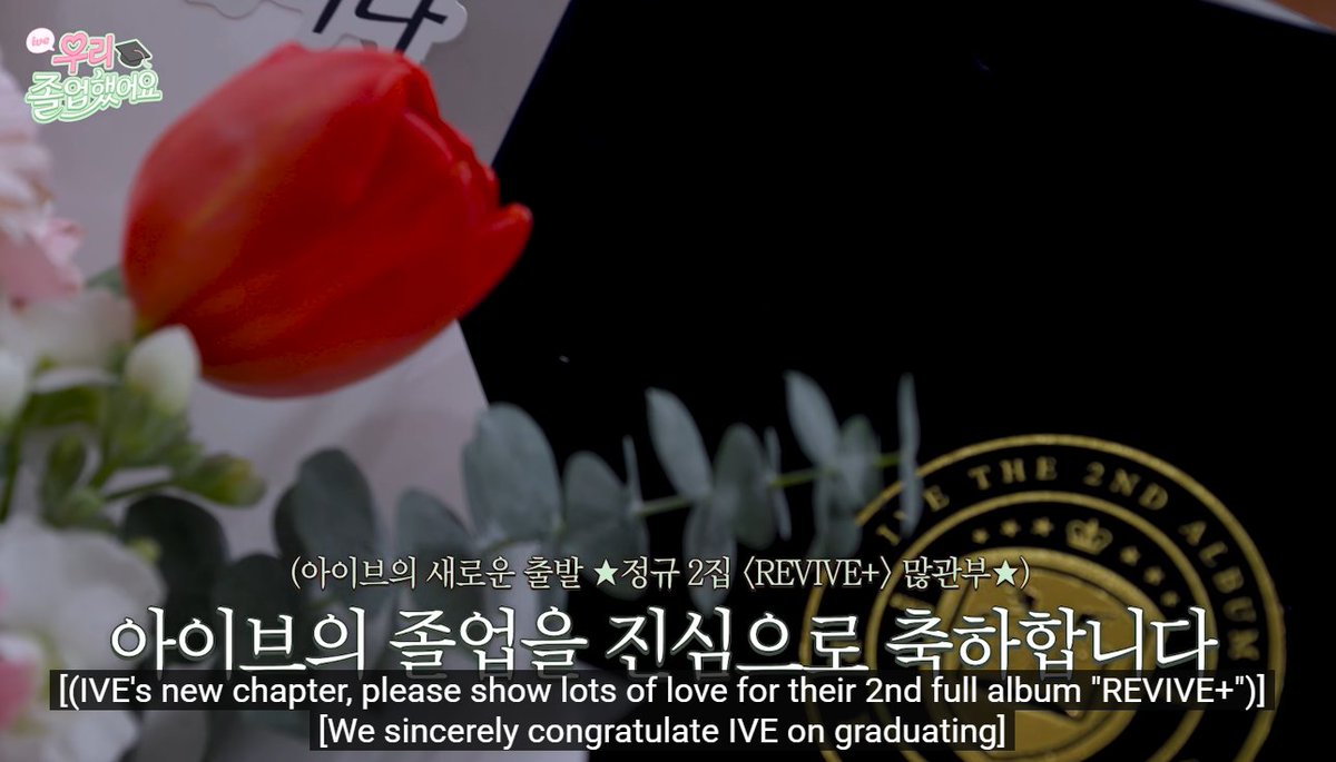 the promotions for ives 2nd full album REVIVE+ officially start tomorrow🎉
Let’s make sure to support the girls and send them lots of love over the next 2 weeks and let’s do our best to show appreciation for their hard work on this album 🥹