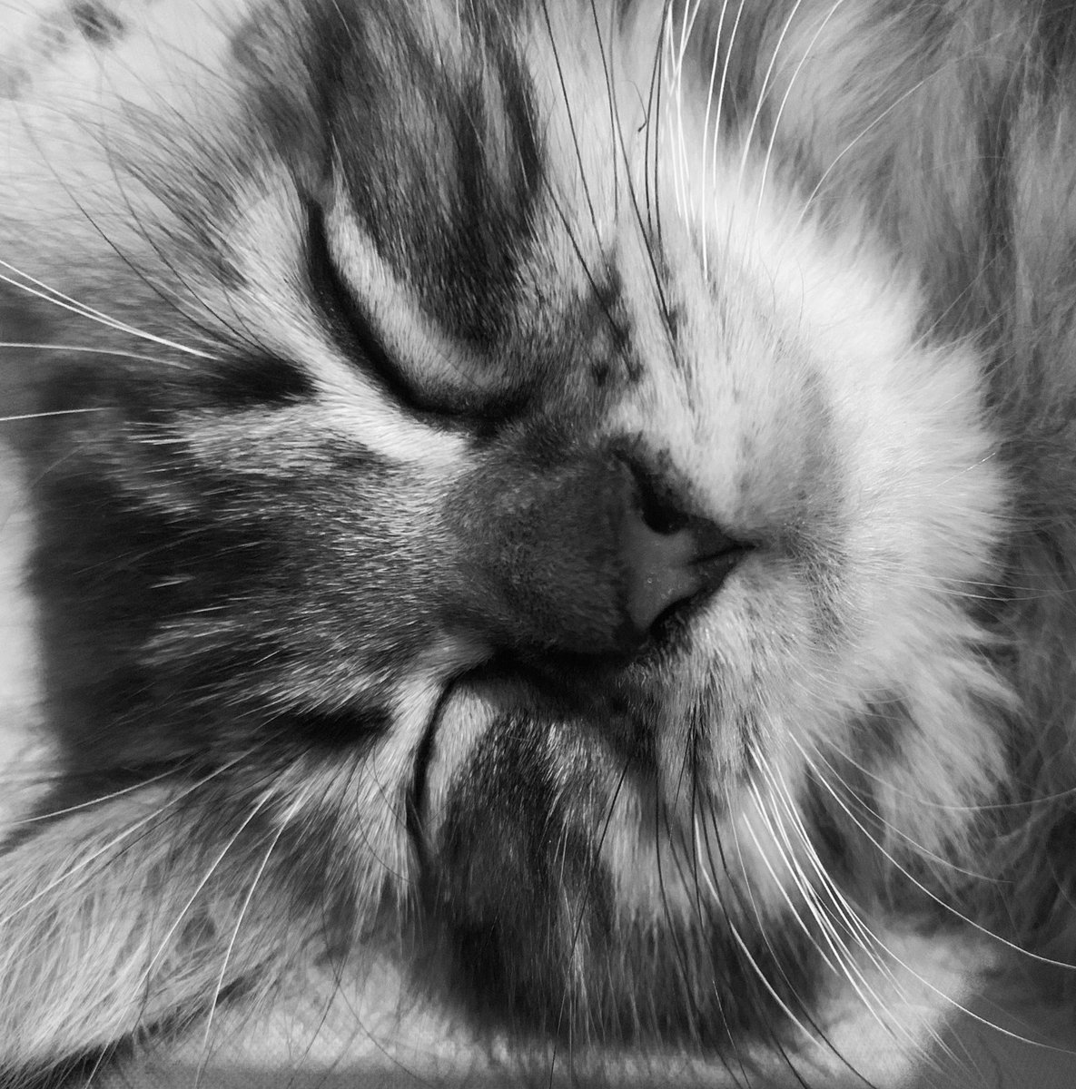 Defta Lockhart. tweet media