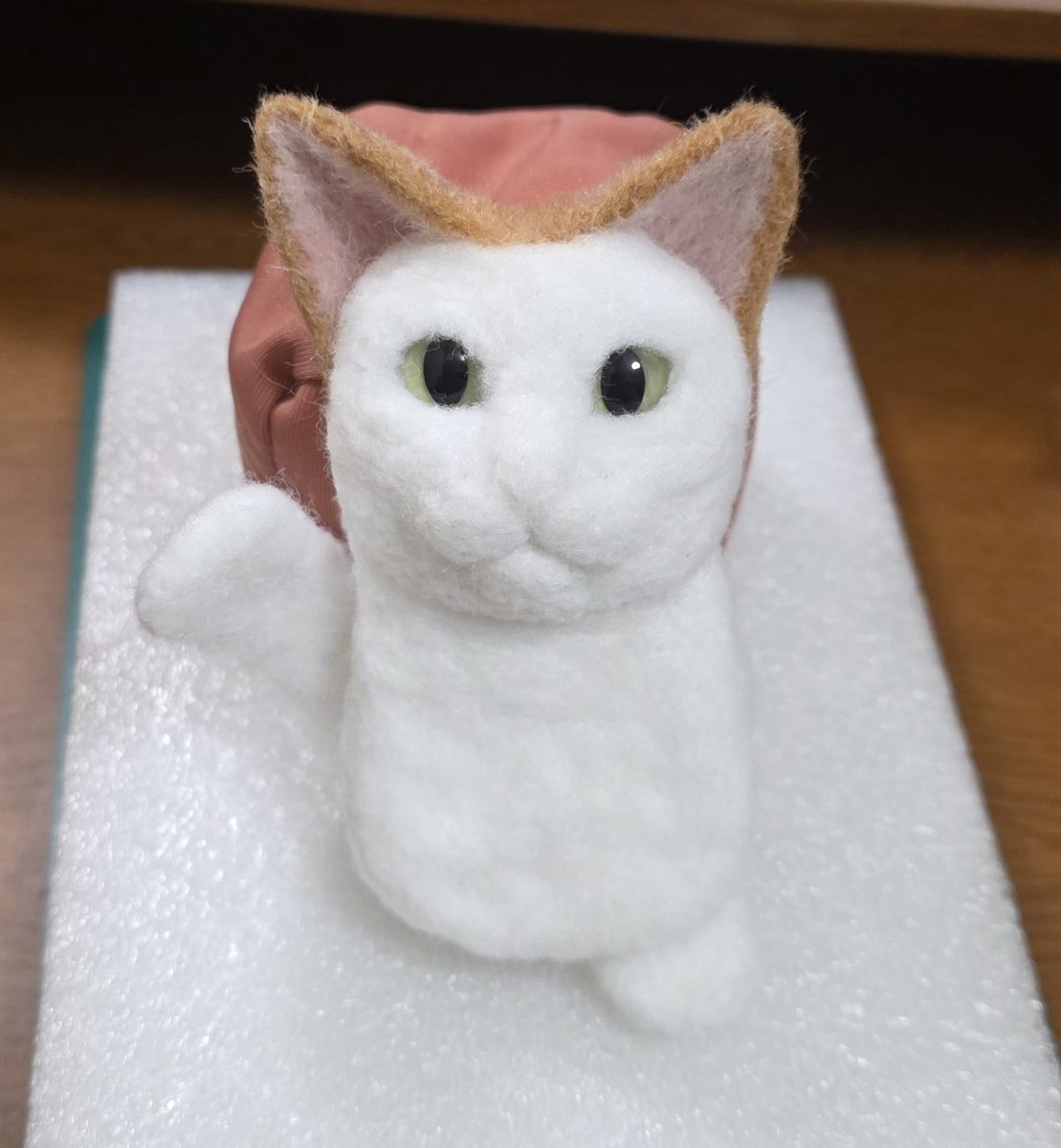 ฅ•ω•)ﾆｬﾝ🎶