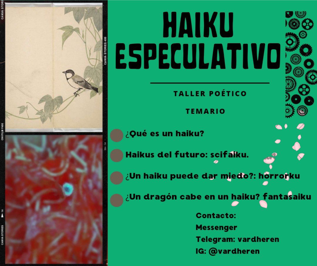 Eduardo Vardheren🔥🌳 tweet media