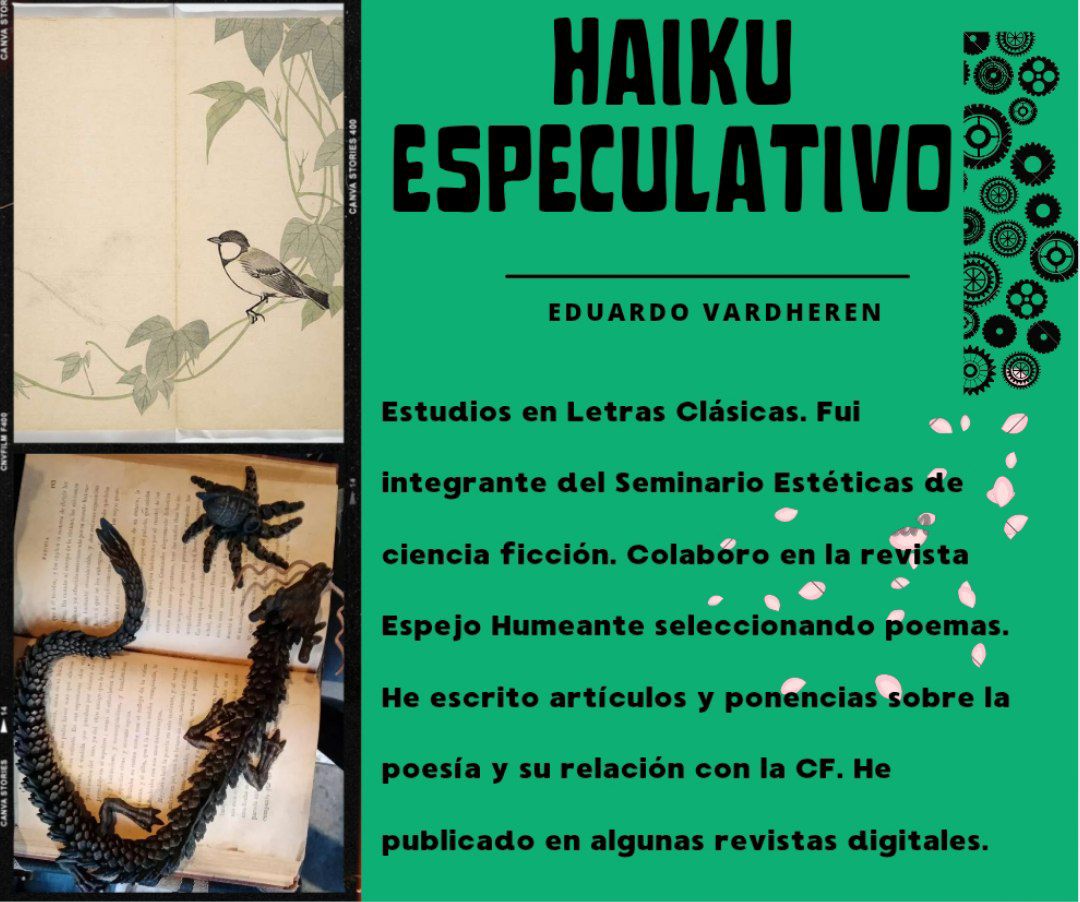 Eduardo Vardheren🔥🌳 tweet media