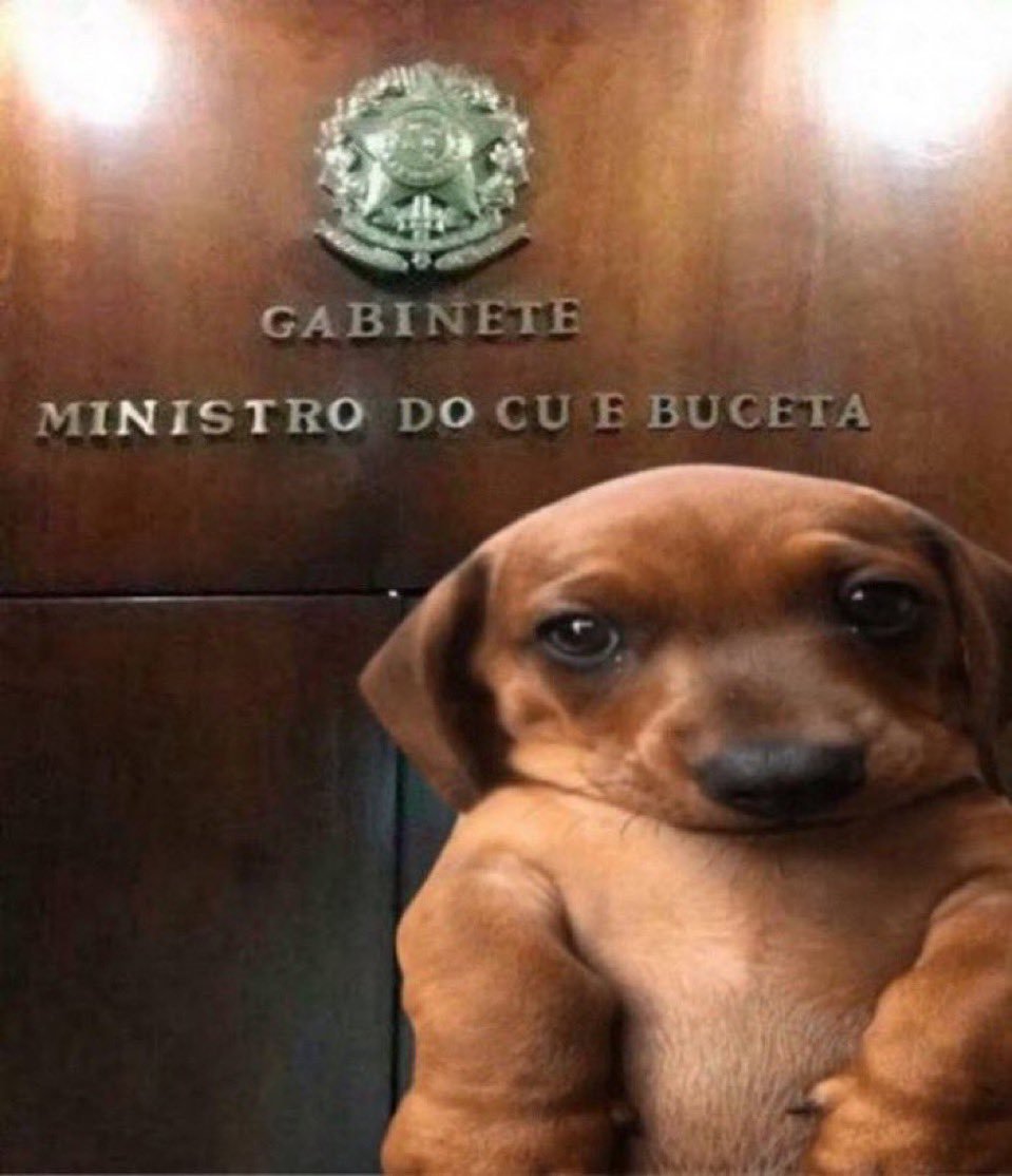 Cardeal Rabelo (@matheuscomsono) on Twitter photo 