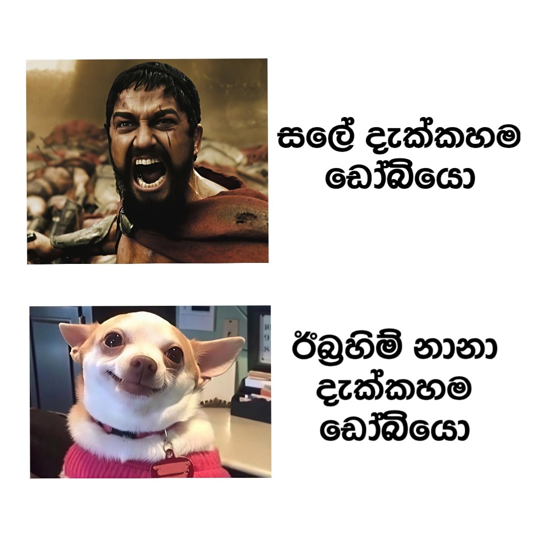 Suhee Perera tweet media