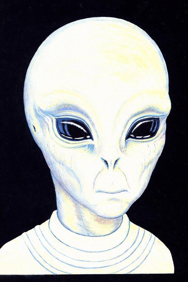(Image): “'Glowing White Alien Telepath
Described by Abductee Melinda
Ruth Leslie in 1994”

Forensic Style Composite Sketch of The Extraterrestrial Being who had Abducted Melinda Ruth Leslie

Melinda Described this Particular Variation of the Standard Grey Alien Light Crew and