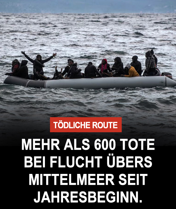 Harald Schmidt - „Dirty Harry“ | Parodie tweet media