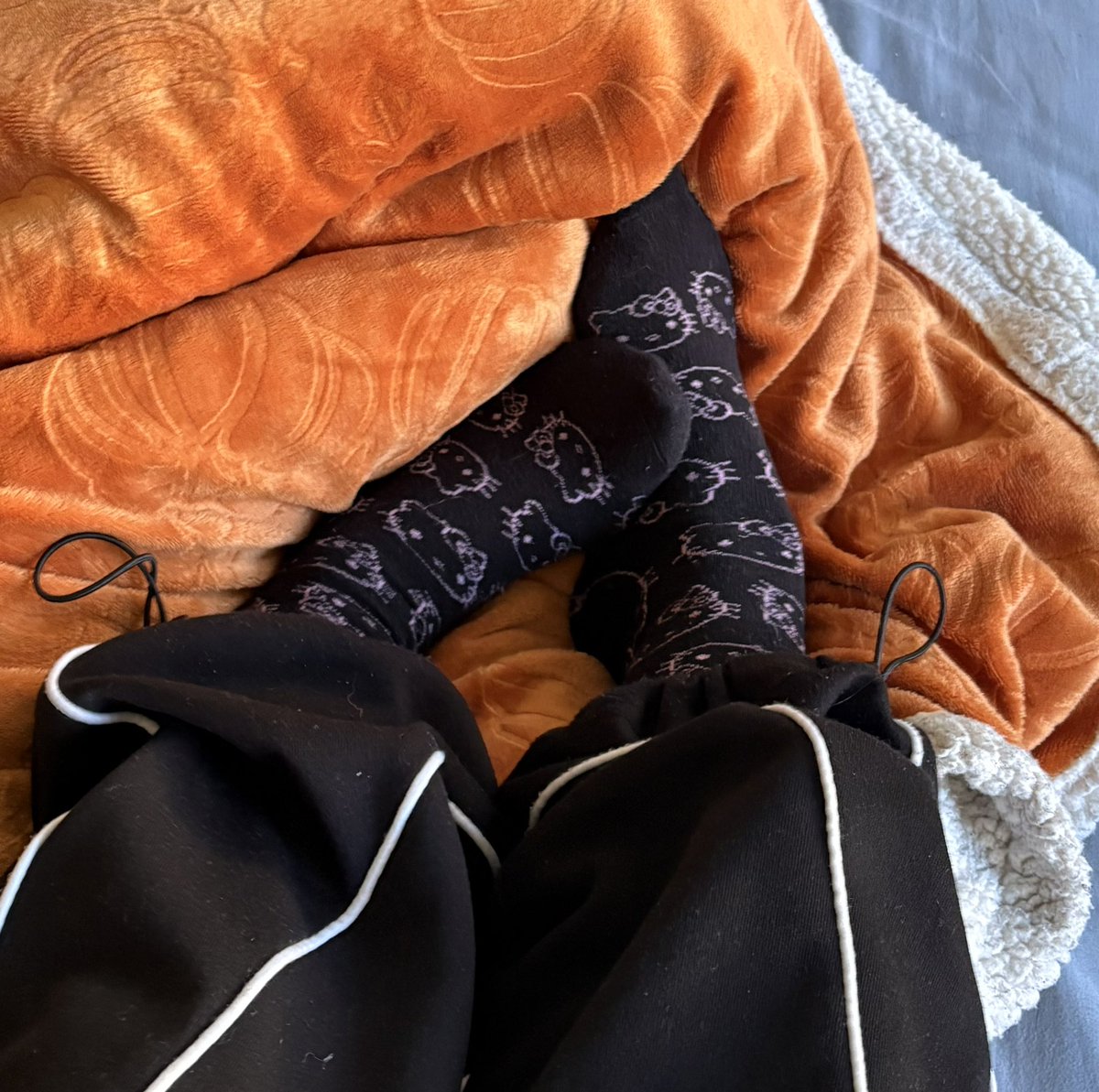 YourMae35157's tweet photo. Do you like my socks?😼 https://t.co/mjljwydxFU