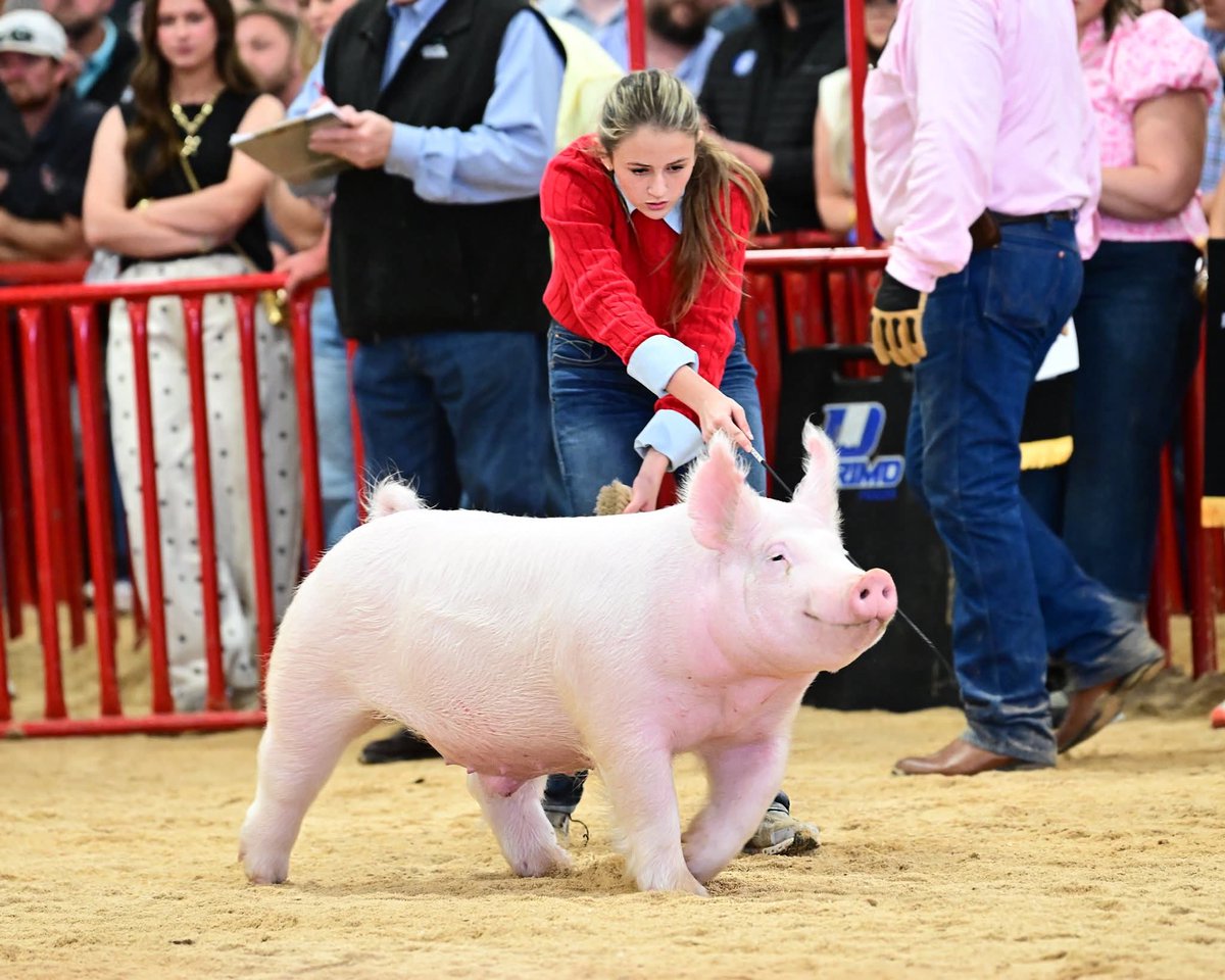 Tellito👉🏽 Day 1 DF #204 tweet media