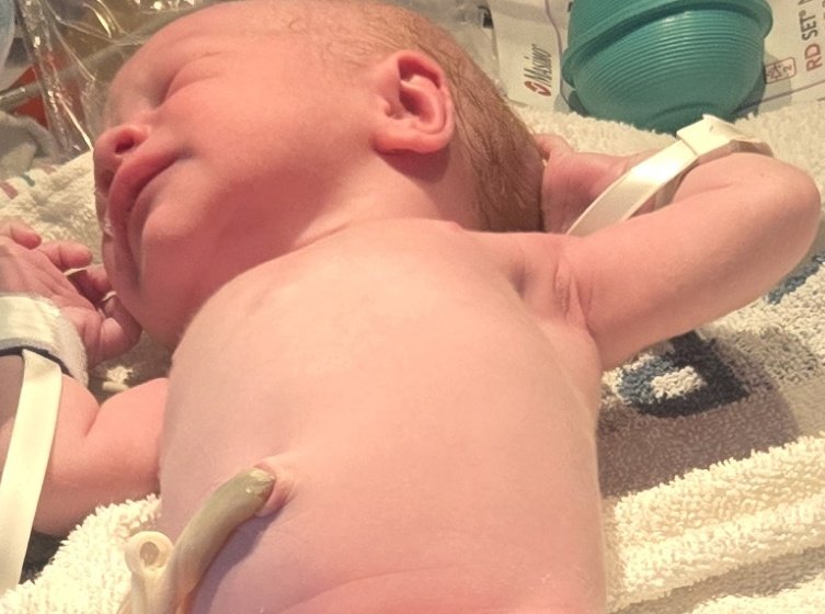 Vampy 🐈‍⬛❤️ | Vcryptid tweet media