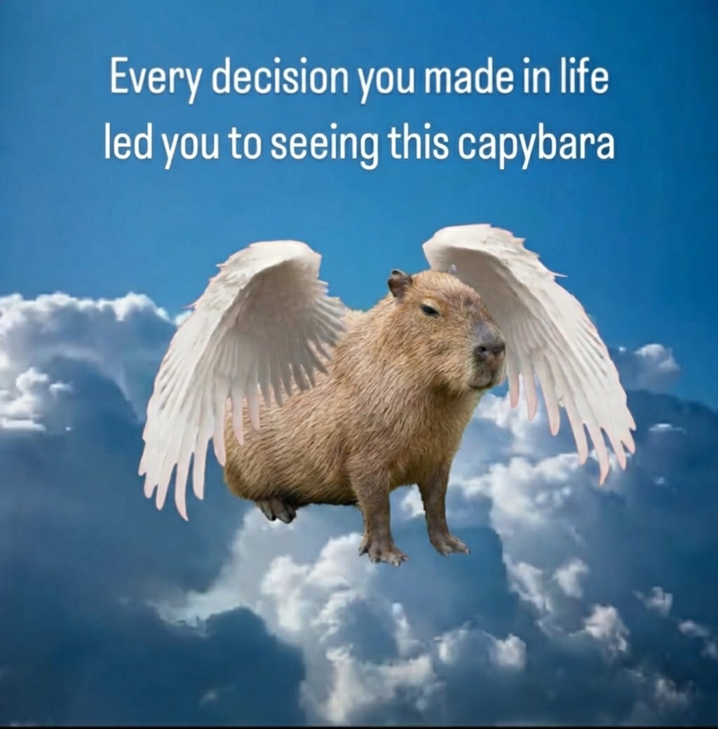 If this is on your feed you’re winning big time