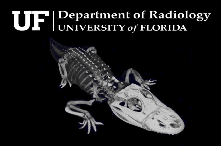 Joseph R. Grajo, MD, FSAR tweet media