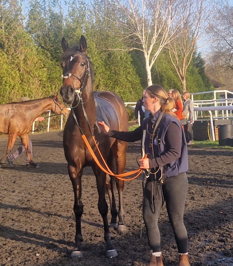 Doris-Ann Williams tweet media