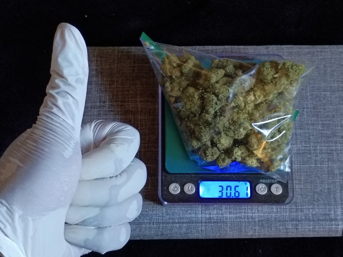 DominicDivinus's tweet photo. BluBerry Syrup: 30 Grams of Healthy Exotic A1 str8 from California, &amp; these are Real Farmers &amp; Flower Growers. The level of Quality I receive is Excuisite, the Aroma is Heavenly, the amount I pay for this is worth EVERY Penny #AntiMemphian #Herbalist https://t.co/fjk4eAJGhB