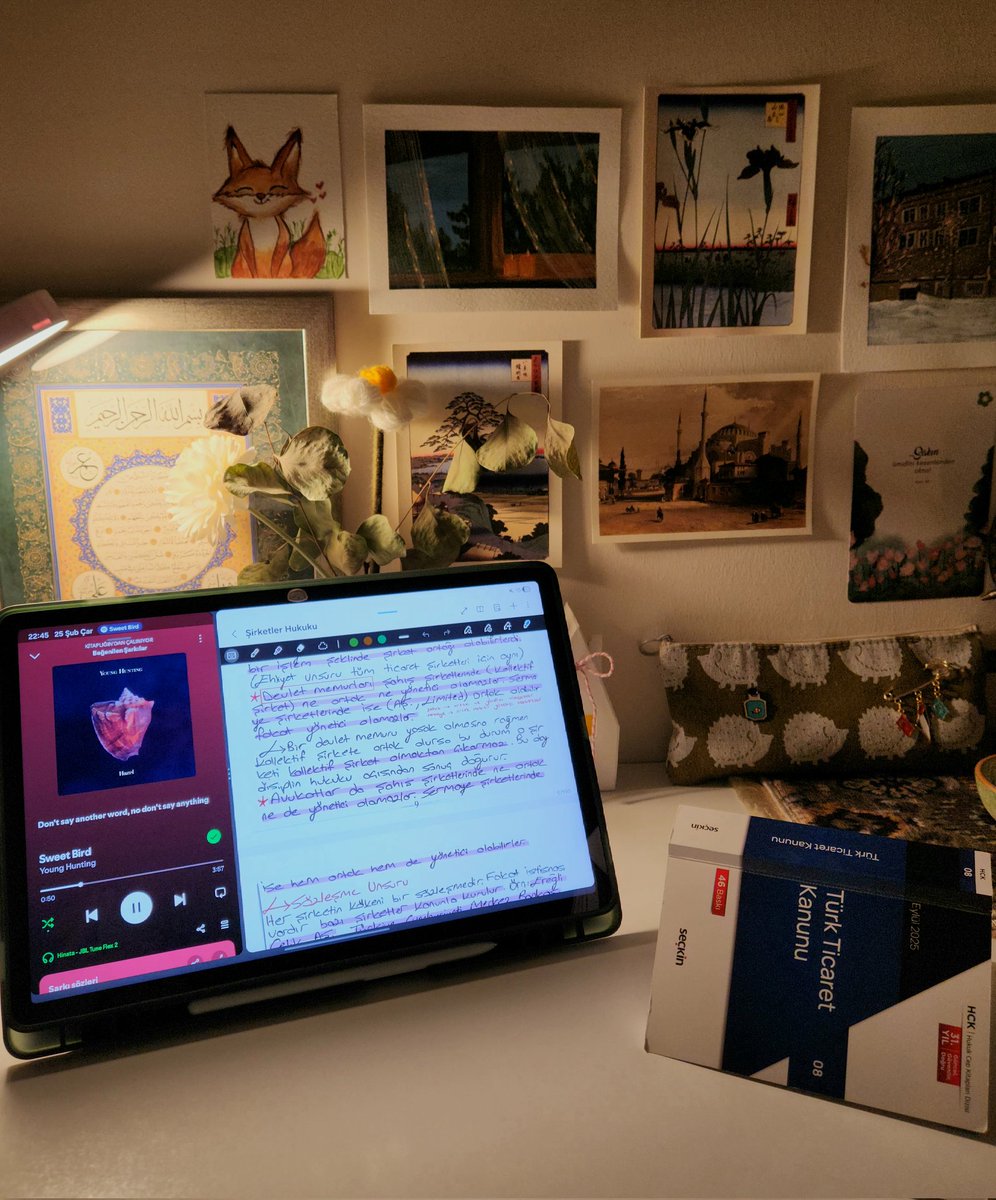 ceren🦊 tweet media