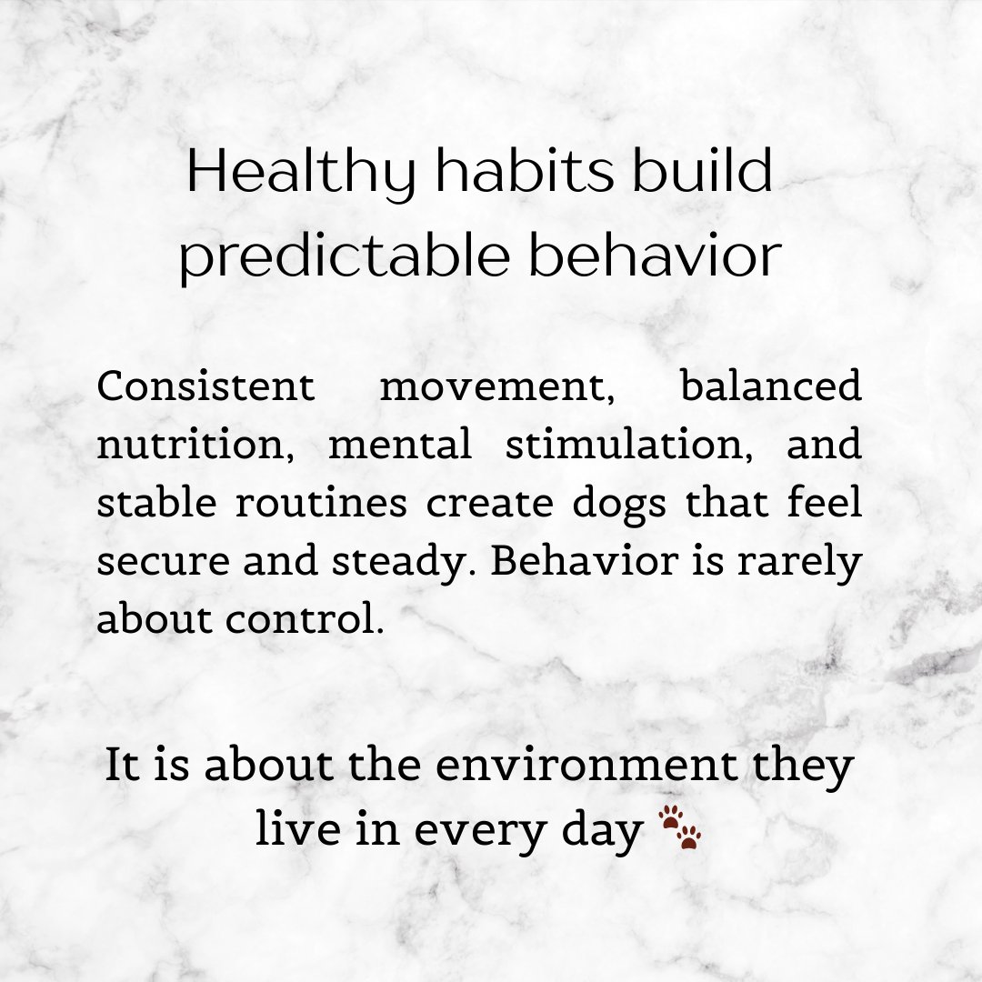 YourpetsPOV's tweet photo. Ever feel like your dog suddenly “changed” for no reason? 🐾

Most behavior shifts are not random. They are often responses to small changes in routine, structure, or daily rhythm.

Behavior is rarely about personality. It is about the environment we build for them every day. https://t.co/zXl5GF19oe