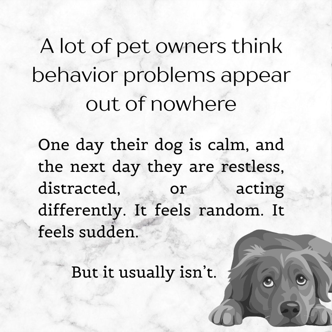YourpetsPOV's tweet photo. Ever feel like your dog suddenly “changed” for no reason? 🐾

Most behavior shifts are not random. They are often responses to small changes in routine, structure, or daily rhythm.

Behavior is rarely about personality. It is about the environment we build for them every day. https://t.co/zXl5GF19oe