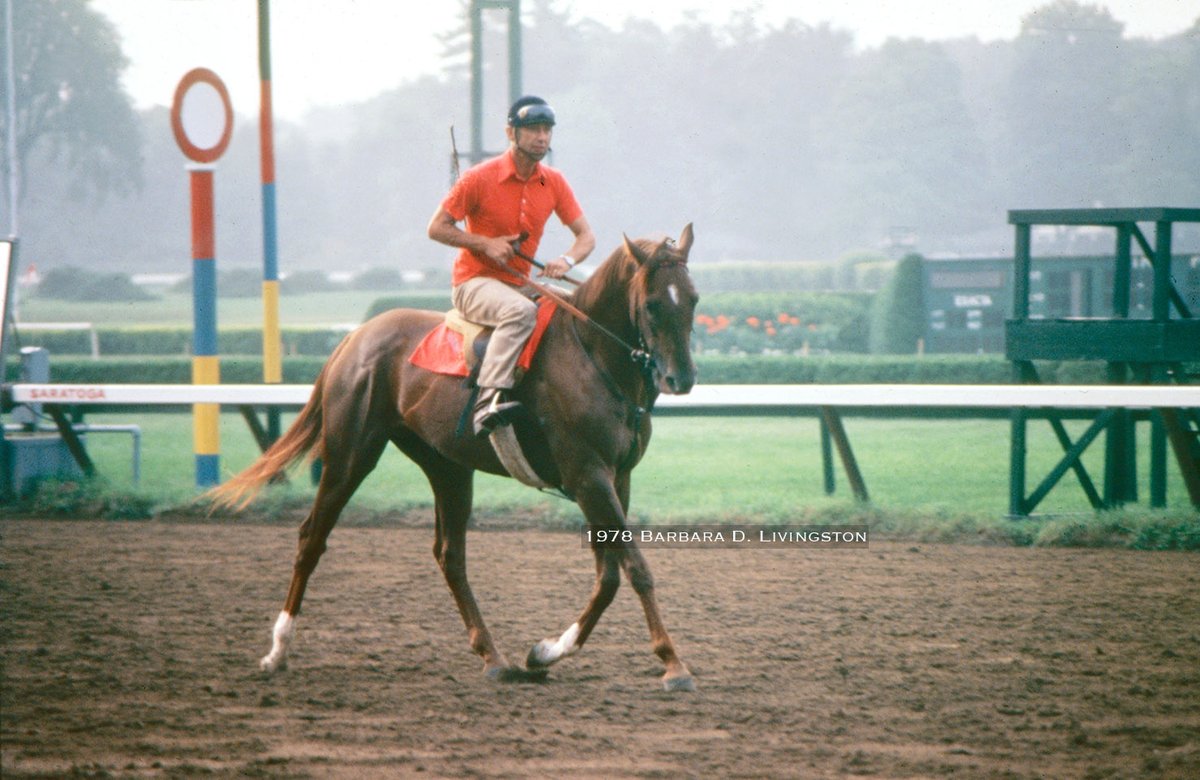 Barbara D. Livingston tweet media