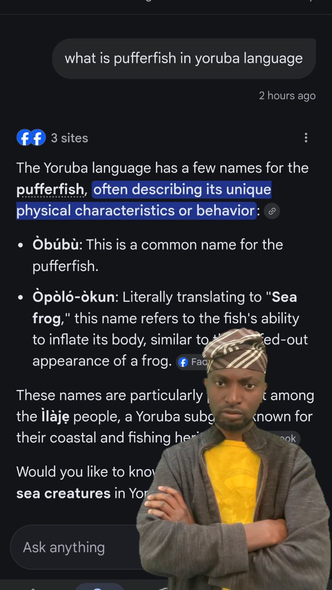 Sci_in_Yoruba's tweet photo. This is the power of “US”. We started this campaign yesterday to let other Yoruba people know that Yoruba already has words for pufferfish. Now, if anybody searches on Google for the Yoruba words for pufferfish, this is what they will see. It is all because we all did our part. Keep writing! Keep pushing our language! Thanks for helping this research.

Eyi jẹ agbara “WA”. Ana la bẹrẹr ipolongo yi. lati jẹ ki awọn eeyan mọ pe Yoruba ti ni orukọ fun pufferfish tẹlẹ. Ni bayi, ti ẹnikẹni ba lọ waa lori Googlg pe ki ni ọrọr Yoruba fun pufferfish, ouhn ti wọn o ri niyi. Eyi ri bẹẹ latari pe gbogbo wa ko ipa ti wa. Ẹ ma kọ awọn nnkan wọnyi ni so! Ẹ tẹ siwaju lati maa gbe ede wa larugẹ. Ẹ ṣeun bi ẹ ṣe n ran iṣẹ iwadi yi lọwọ.