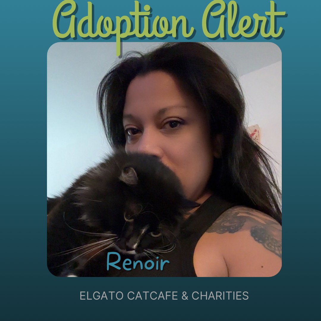 Our beautiful girl, Renoir, is adoption 1058❤️She’s got so much love to share with her new meowma💕Wishing them a happy furrever😻
Help us make more moments like this possible by visiting us at elgatocoffeehouse.com/bookmeow or donating at elgatocharities.org/get-involved
#adoptdontshop #adopted