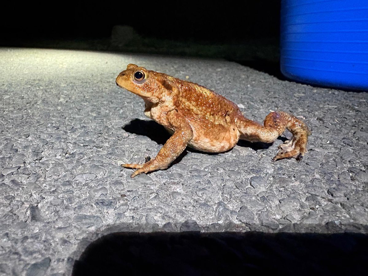 Jonathan Smith tweet media