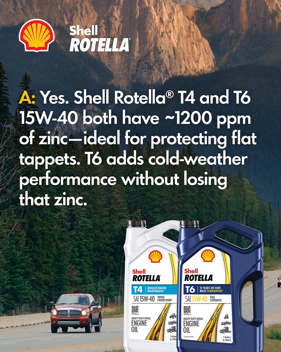 Shell Rotella tweet media