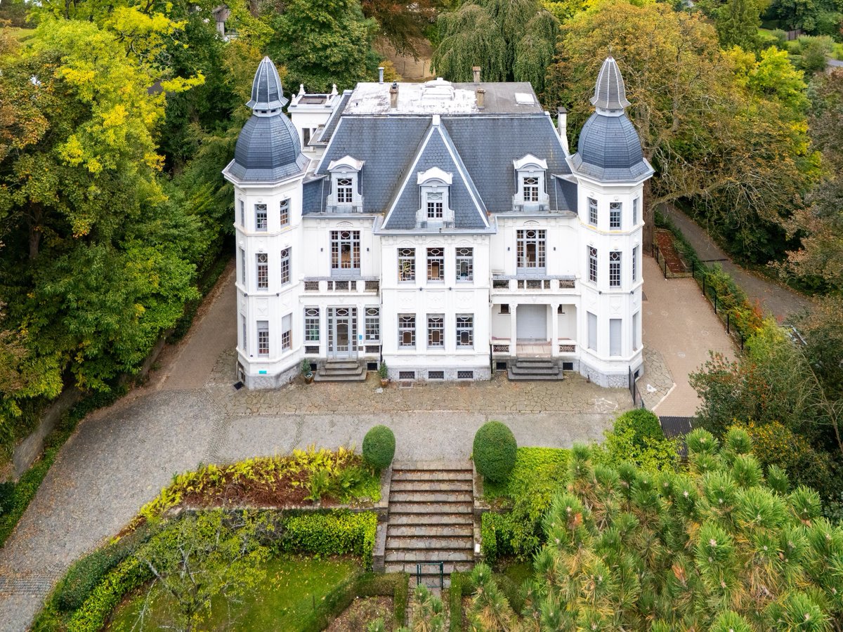 ACE of BRUSSELS INTERNATIONAL SCHOOL tweet media