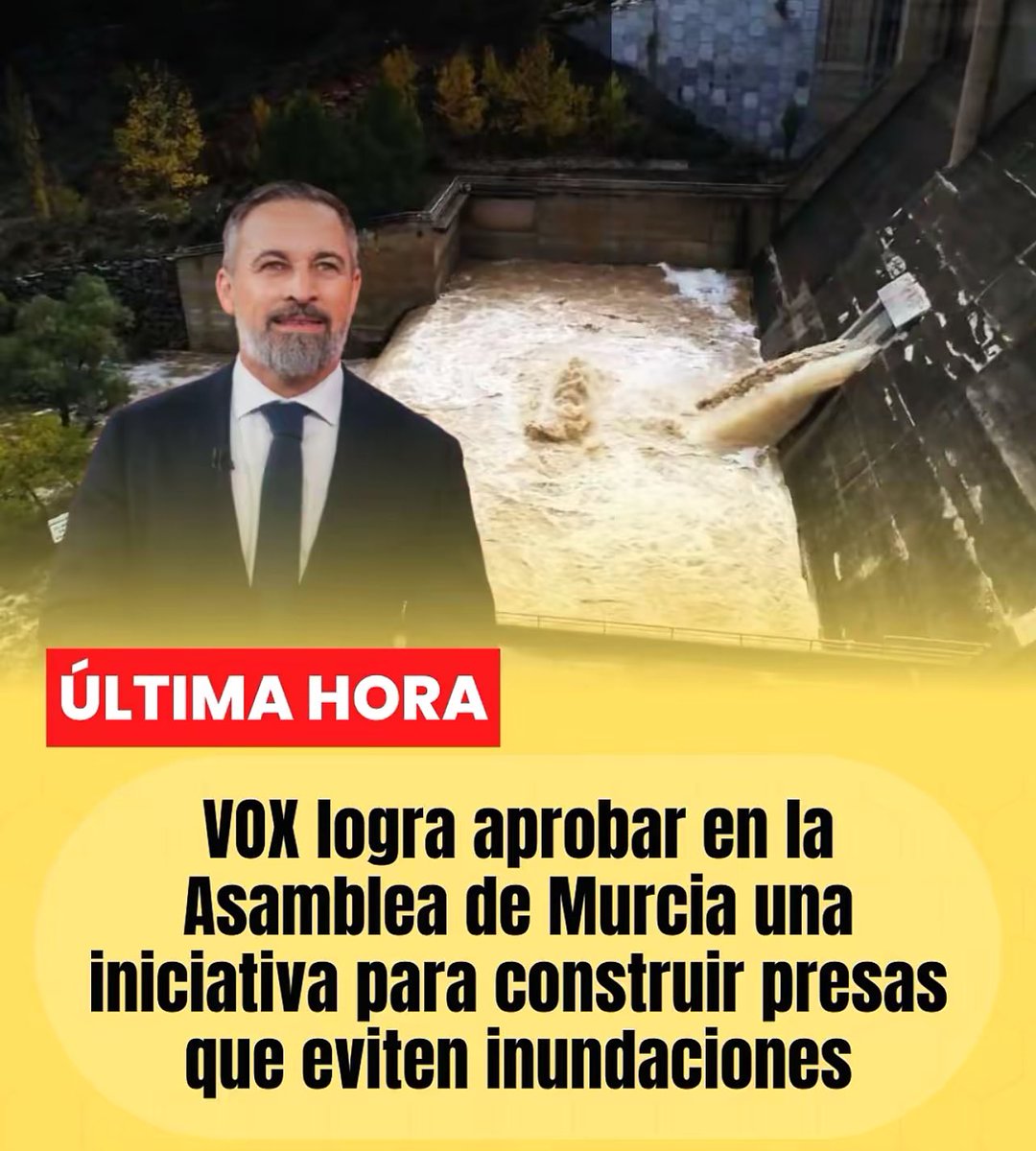 Muy.Mona/🇪🇸💚 tweet media