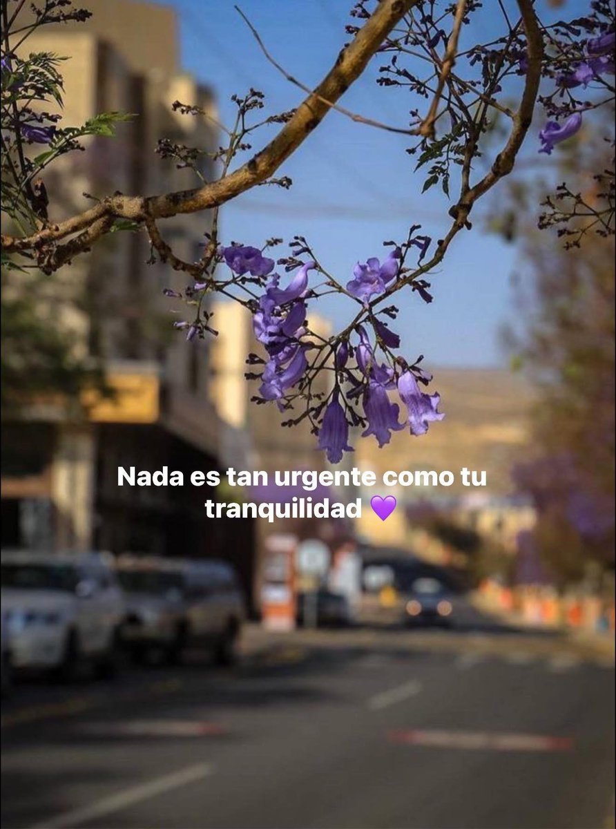 BANDIDOS tweet media