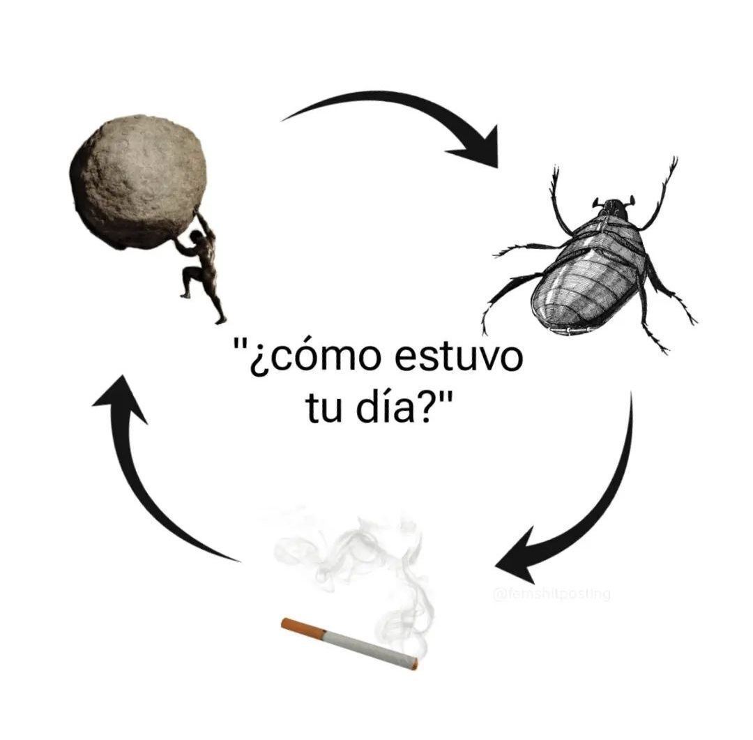 chincheto pirata somali (@wikipistacho) on Twitter photo 