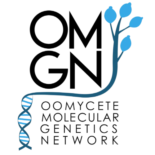 Sebastian Schornack tweet media