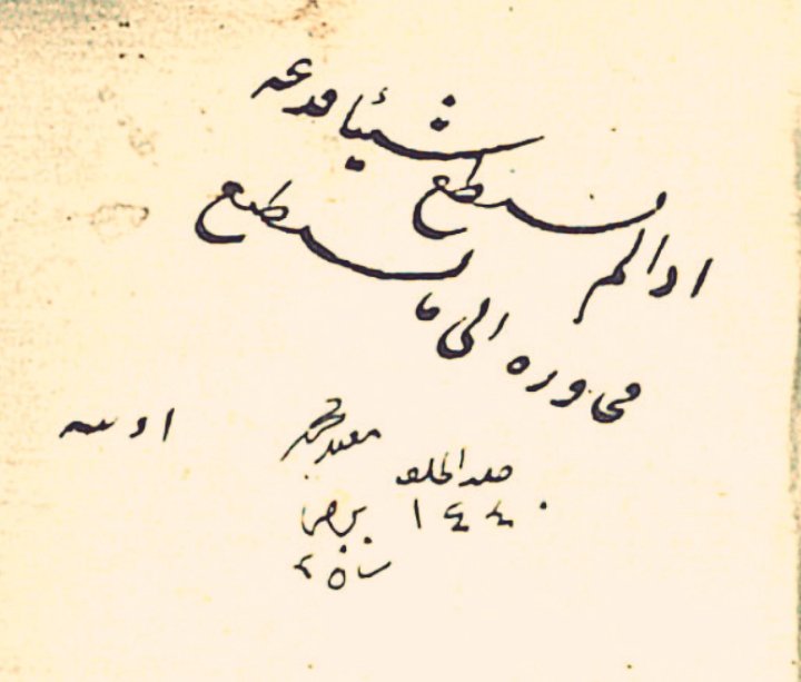 Mirzaii.Fatima tweet media
