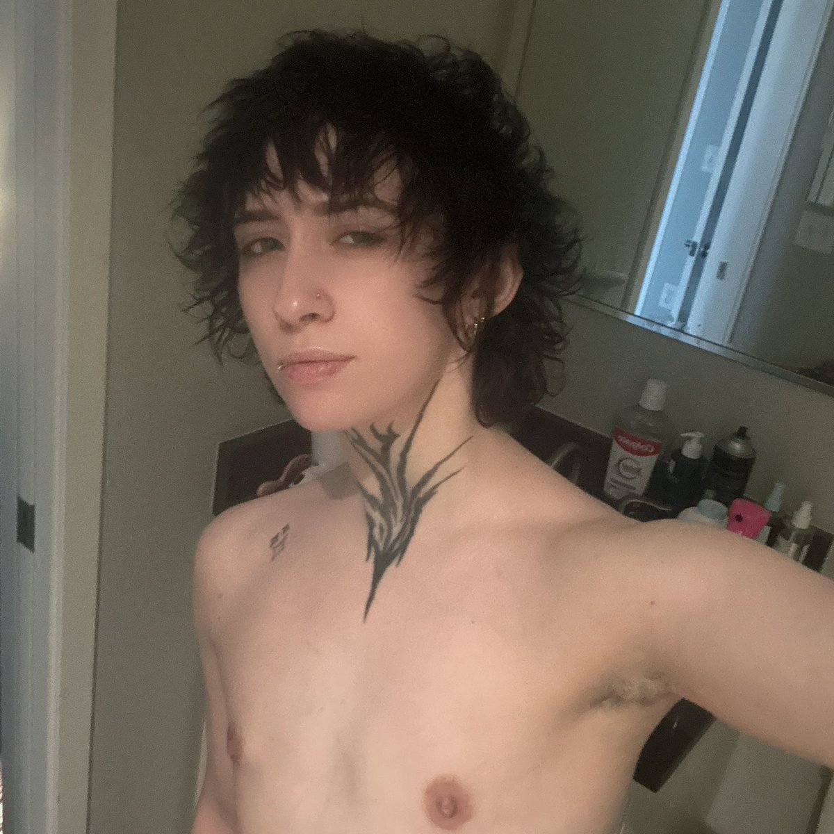 HARLOW!! tweet media