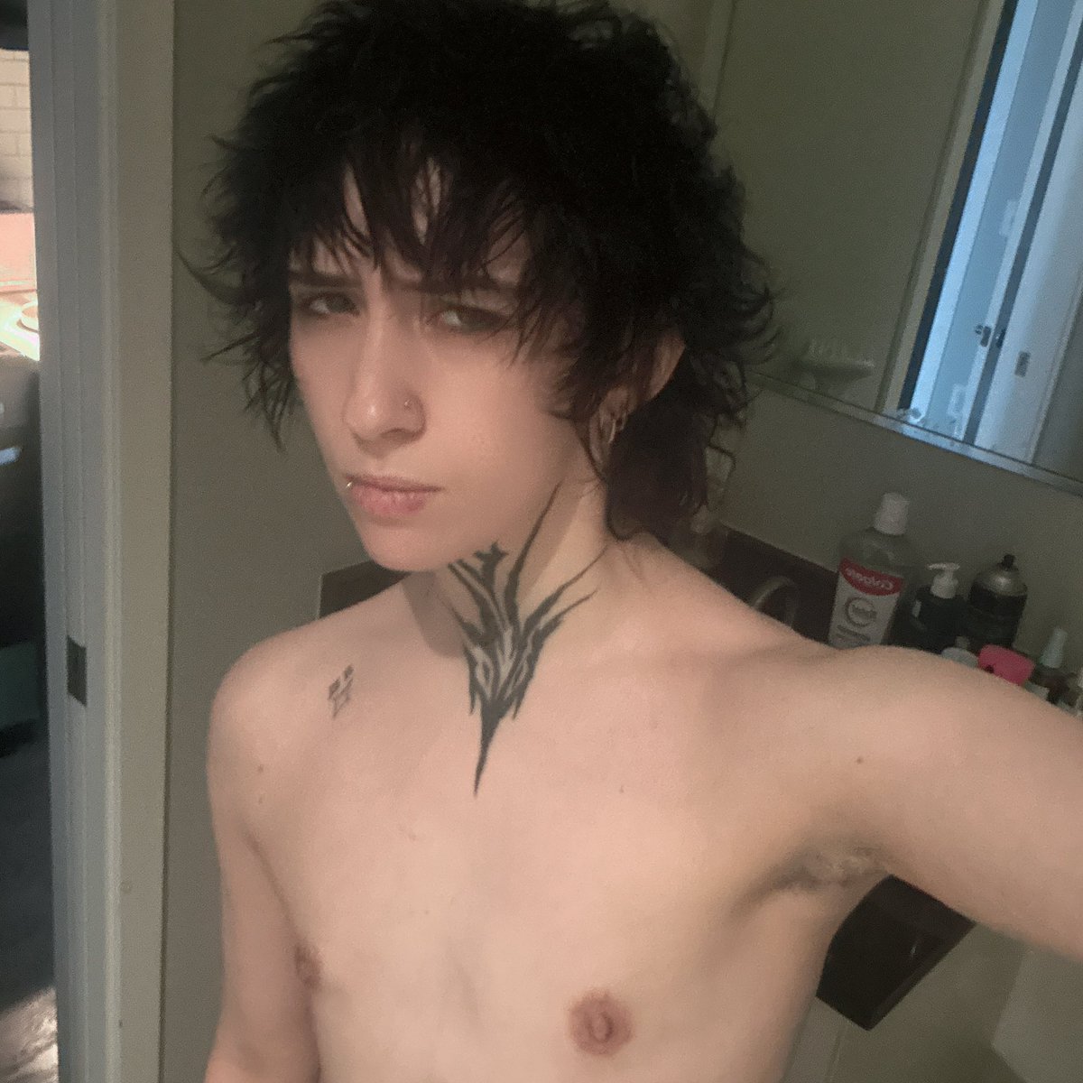 HARLOW!! tweet media