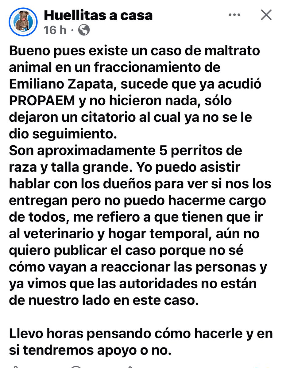 apdnoticias's tweet photo. #Ahora| Protectoras y animalistas del estado de #Morelos, le solicitan de manera inmediata la intervención del Edil del municipio de #EmilianoZapata Santos Tavarez García, hay un caso extremo de maltrato animal en su territorio, como siempre las autoridades del estado dejaron solos a los animales, son cinco perros en peligro de morir. 👇👇👇🫵🏻

#Morelos #Animales #Viral  #Cuernavaca #Cuautla #Temixco