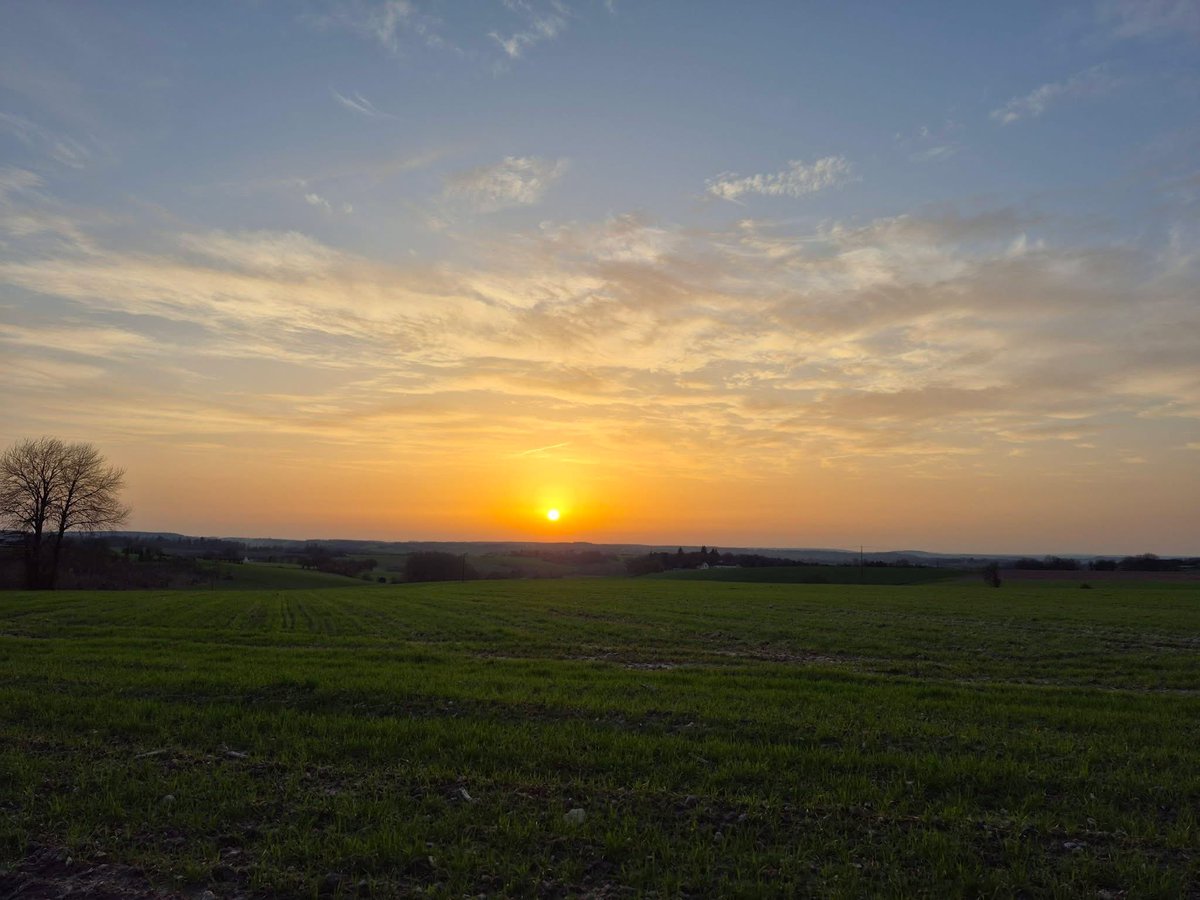 [Coucher de soleil saharien ce mercredi]

En lien avec l’arrivée de poussières sahariennes 🟠 (en faibles quantités) en altitude, un magnifique coucher de soleil saharien 🌅 a été observé ce mercredi 25 février 2026 sur notre <a href="/RCValdeLoire/">Région Centre-Val de Loire</a>, comme sur les hauteurs du #Perche, près
