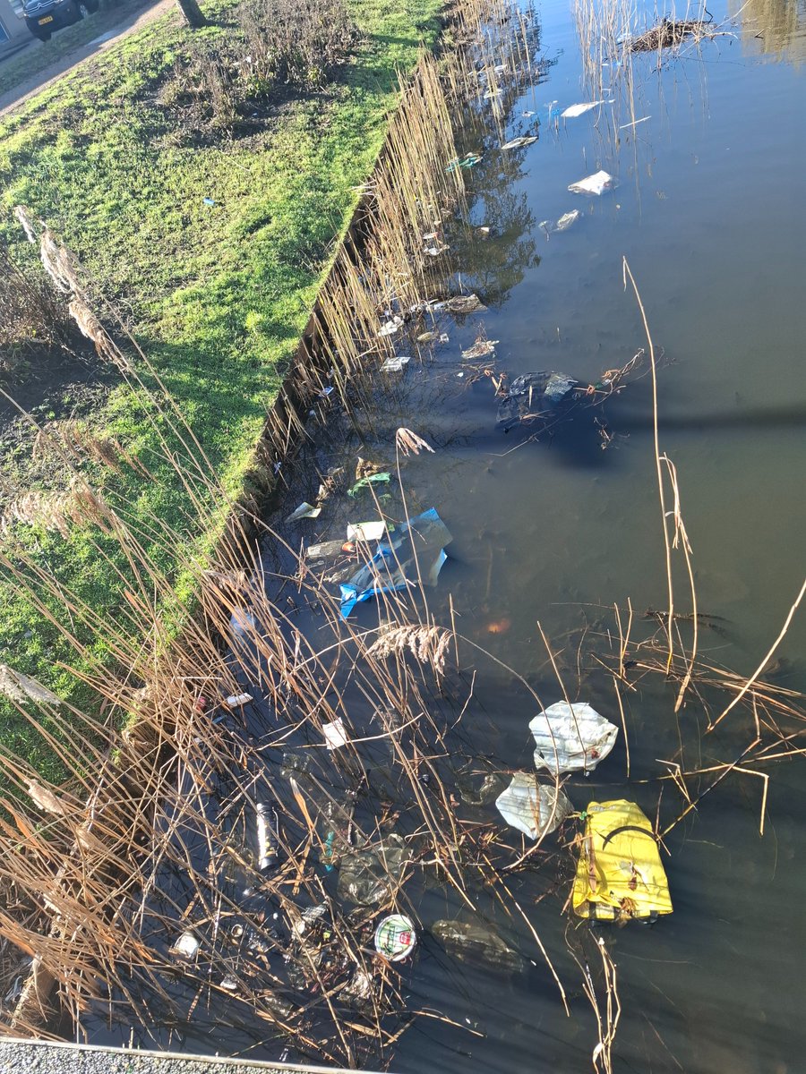 Eveline van Wanrooij tweet media