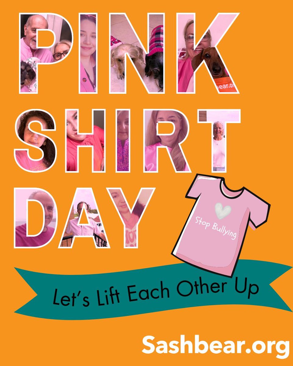 The Sashbear Foundation tweet media