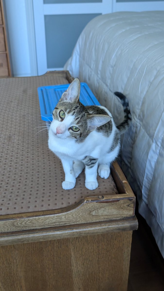 Ryan Grover tweet media