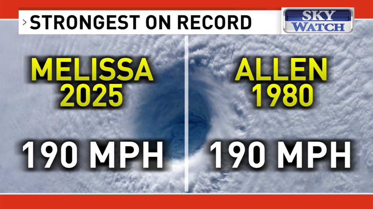 Julia Haley tweet media