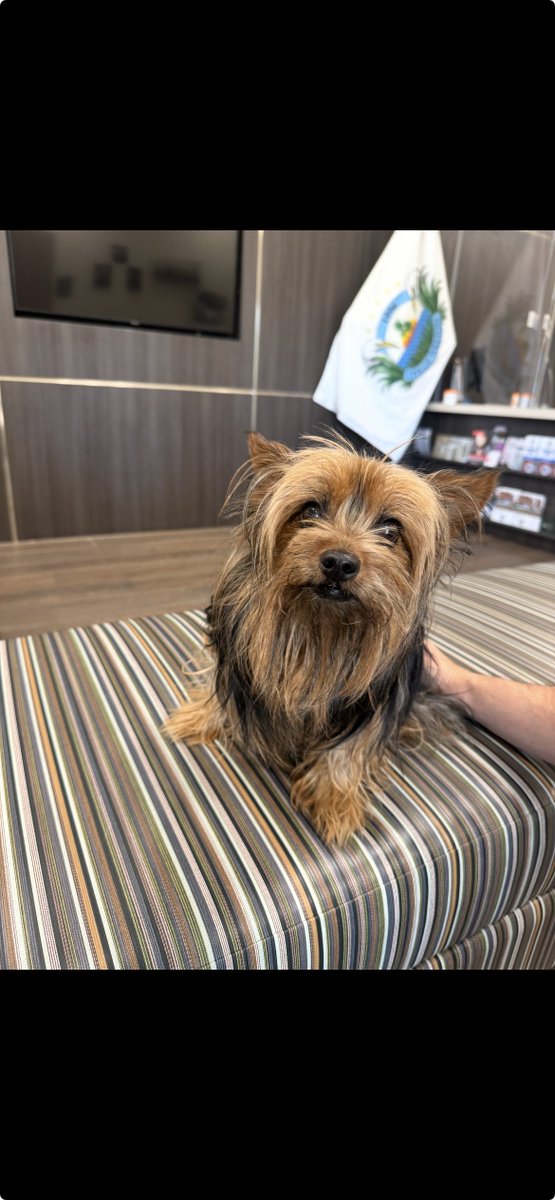 Broward Sheriff's Office Weston District tweet media