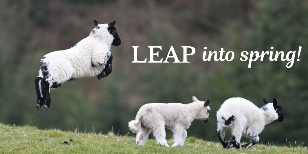 Centre Wellington Hydro tweet media