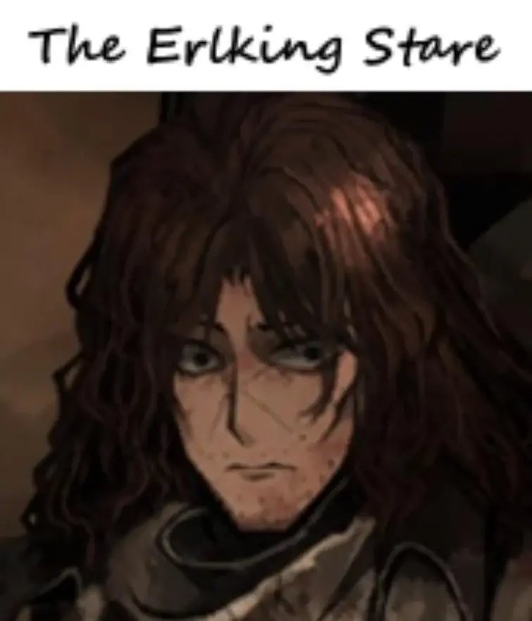 Mambo follower tweet media