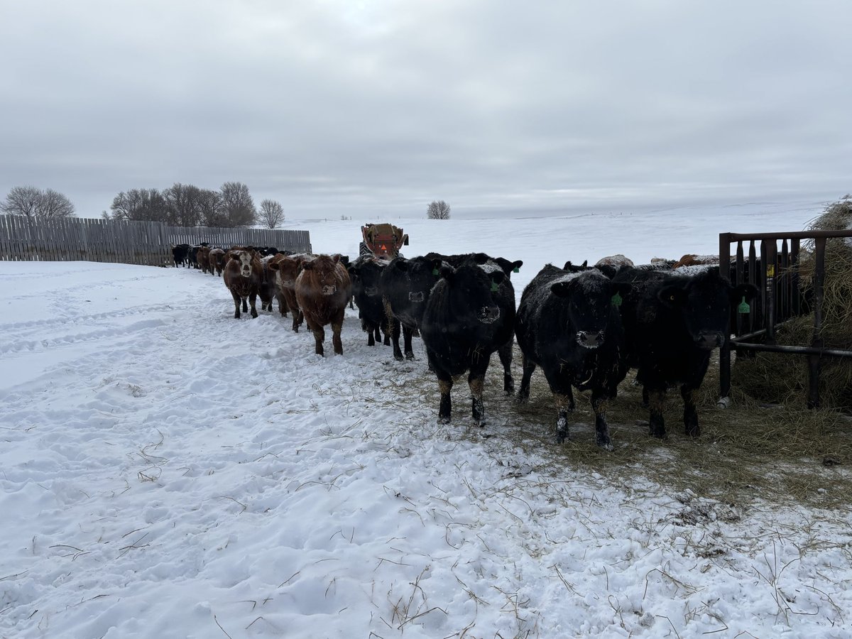 Signe De'Athe tweet media