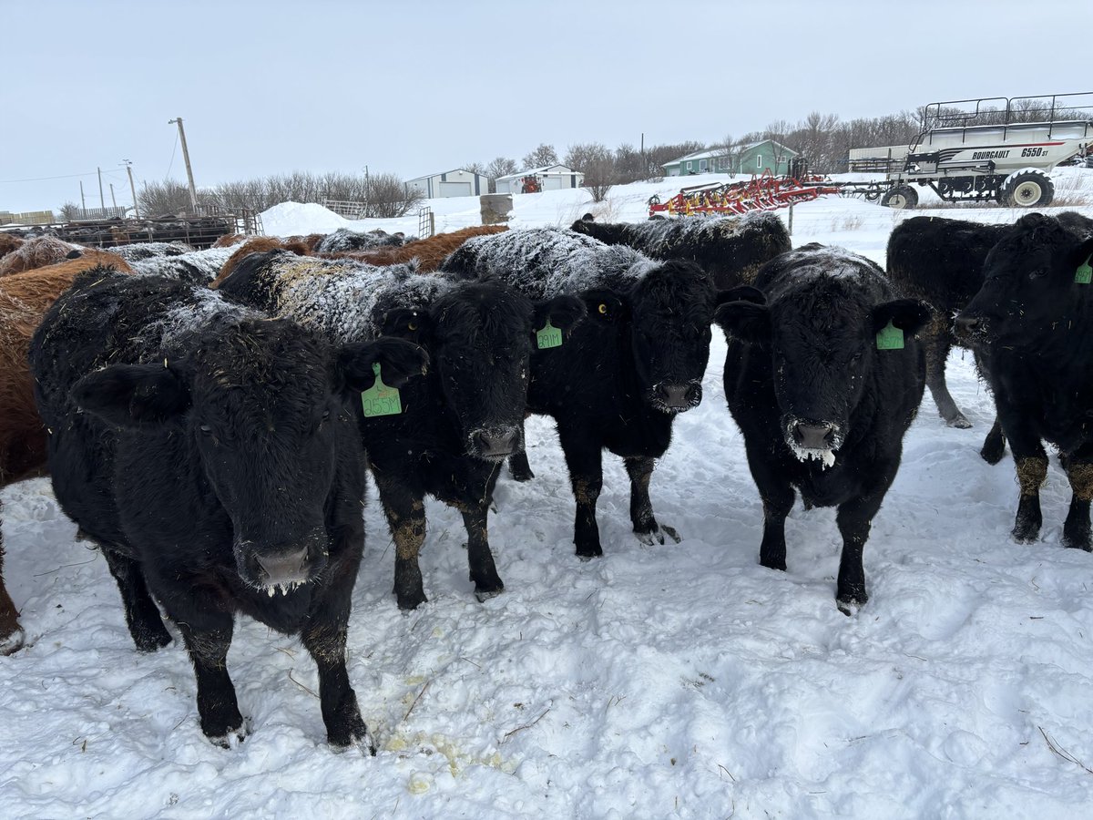 Signe De'Athe tweet media