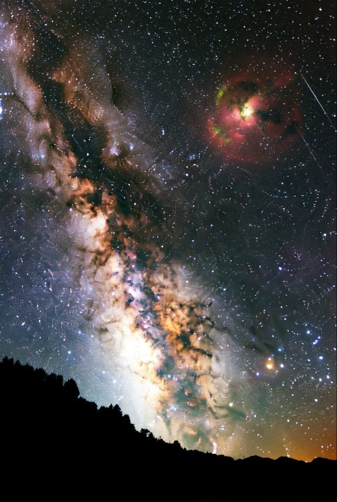 Ladymagic 🌹 tweet media