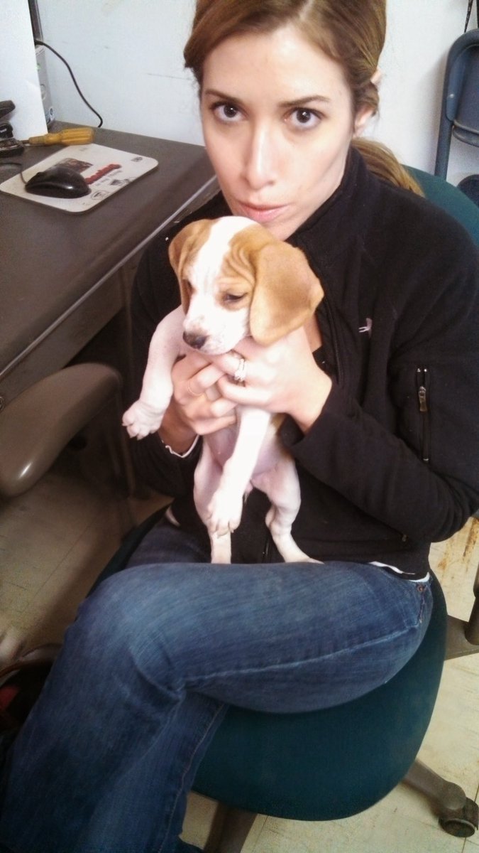 Jello and Hankface 🌈🌈😇😇 tweet media