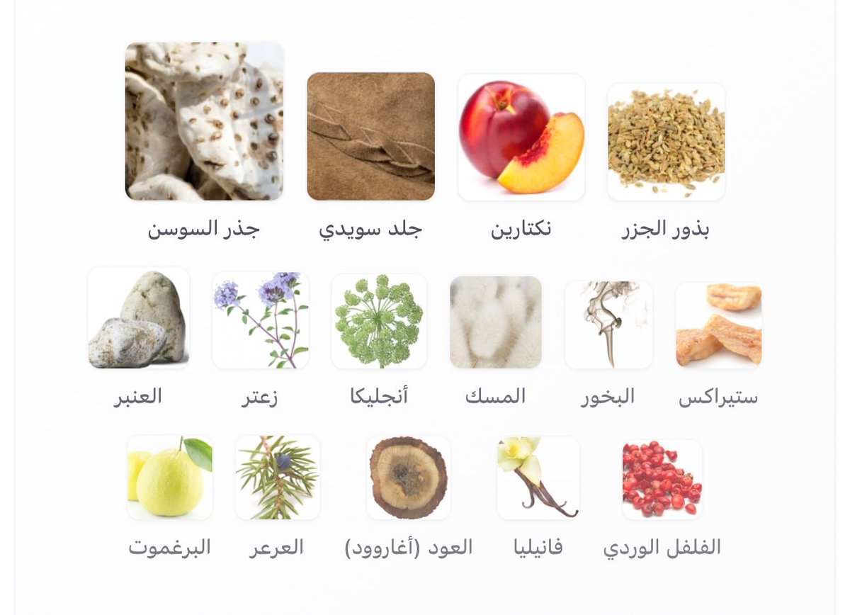 عبدالرزاق | ABU-SAAD tweet media