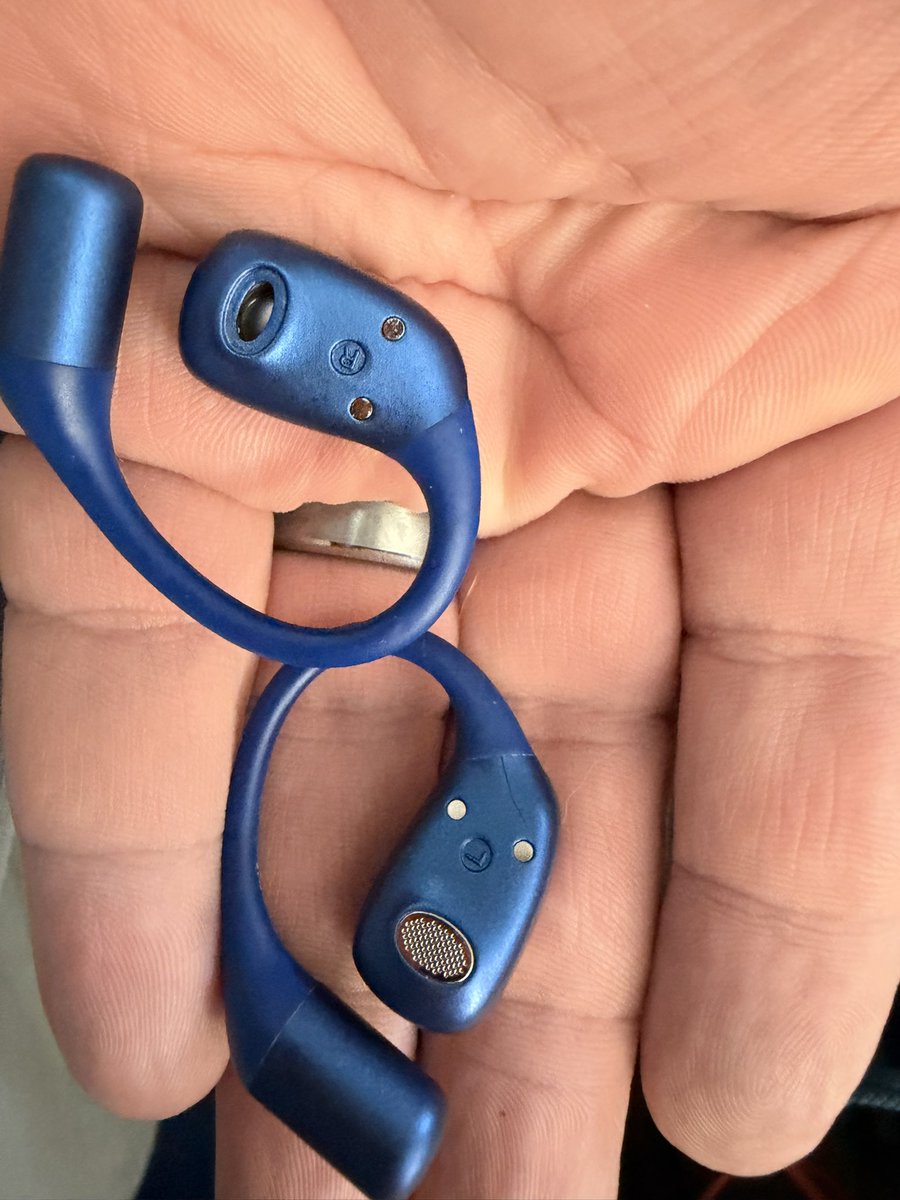 GamemasterLogan's tweet photo. @rayconglobal Had a rather unpleasant experience today with your open earbuds today. The little metal screen popped off my right earbuds into my ear, it was a rather disconcerting feeling. We got it out of my ear with no real issues, however lost the little metal screen. https://t.co/TLYfiUbA7V